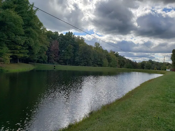 Carthage Gap Camp 8