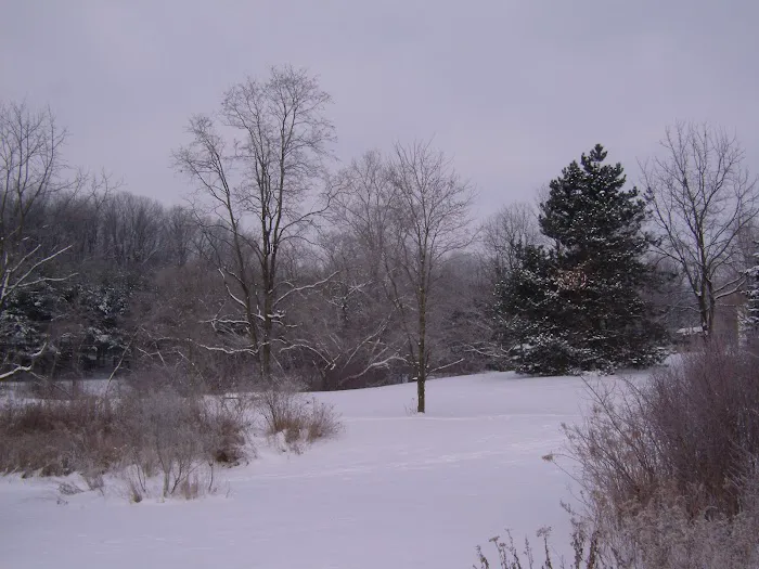 Clewell's Landing Camp LLC 2