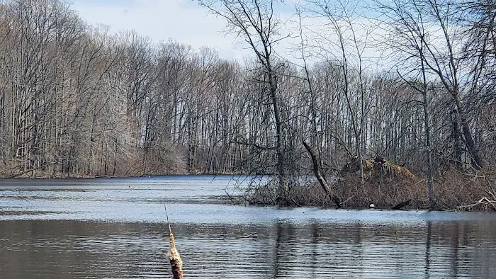 Pikie Bay 1