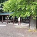 Lil John’s Campground
