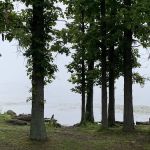 Mosquito Lake State Park Campground