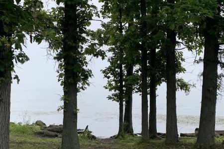 Mosquito Lake State Park Campground