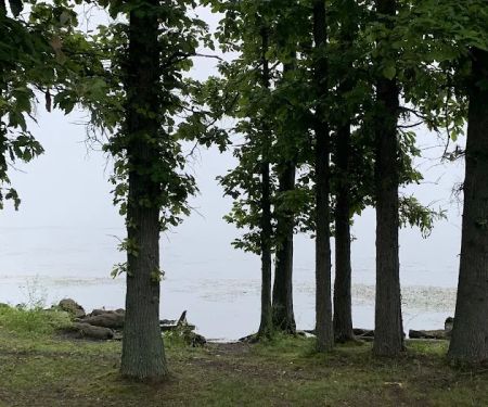 Mosquito Lake State Park Campground