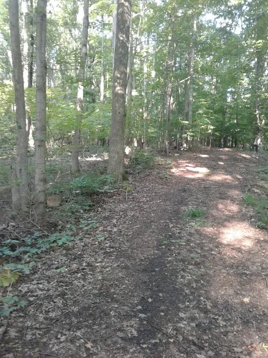 Lakeview Mobile Home Park 6
