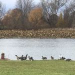 Cass Lake Mobile Home and RV Park