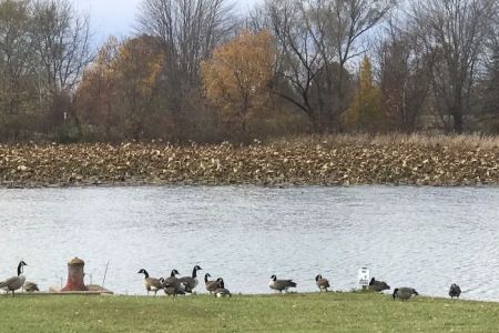 Cass Lake Mobile Home and RV Park