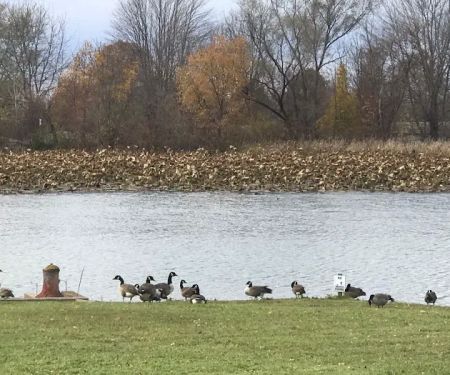 Cass Lake Mobile Home and RV Park