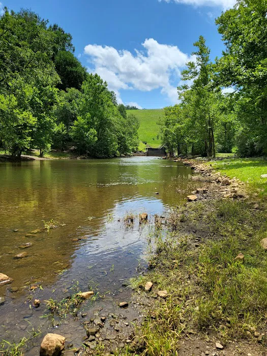 Buckhorn Campground 7