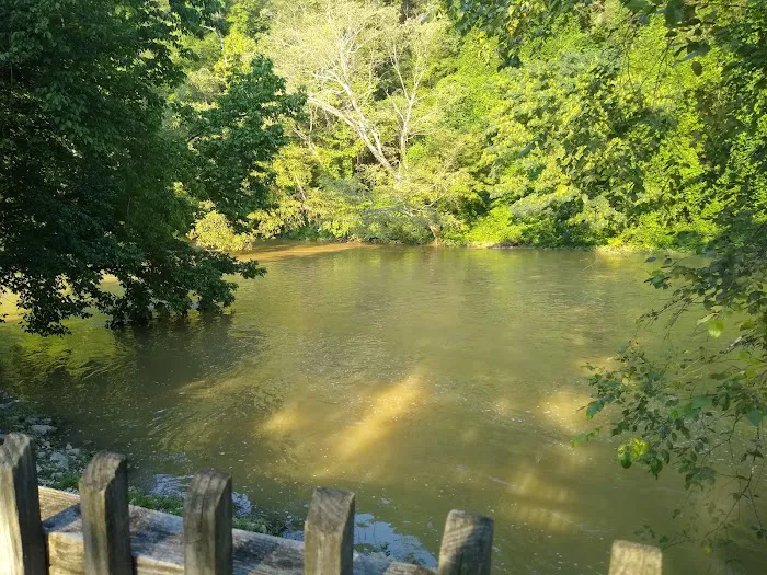 Buckhorn Campground 6