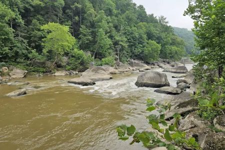 Cumberland Falls Campground