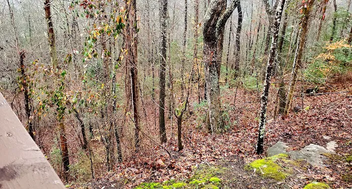Cumberland Falls Campground 10