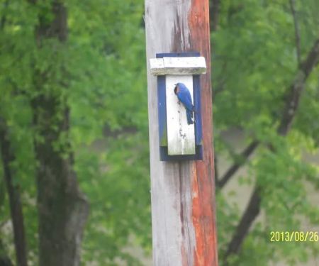 Patrick's Point River Camp