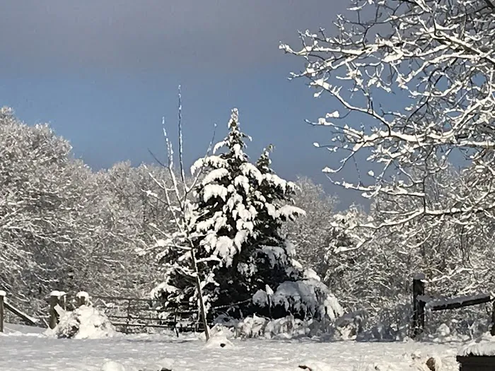 Maple Hill RV Park & Cabins 10