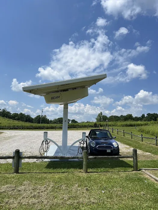 Astronomy Field 6