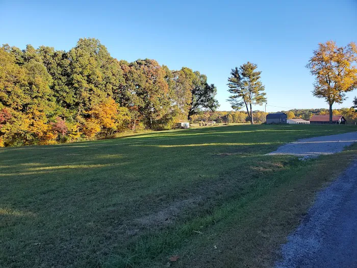 Twin Pine RV Park 4