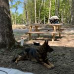 Buck Run Horse Campground LLC