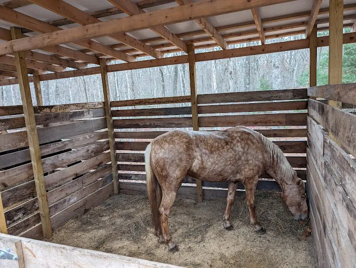 Buck Run Horse Campground LLC 5