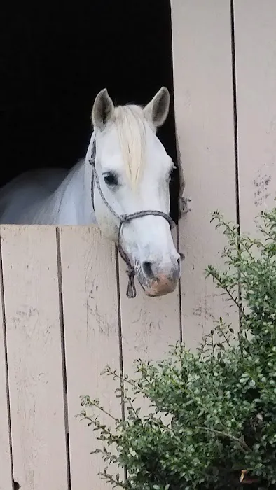 Spruce Creek Campground and Stables 7