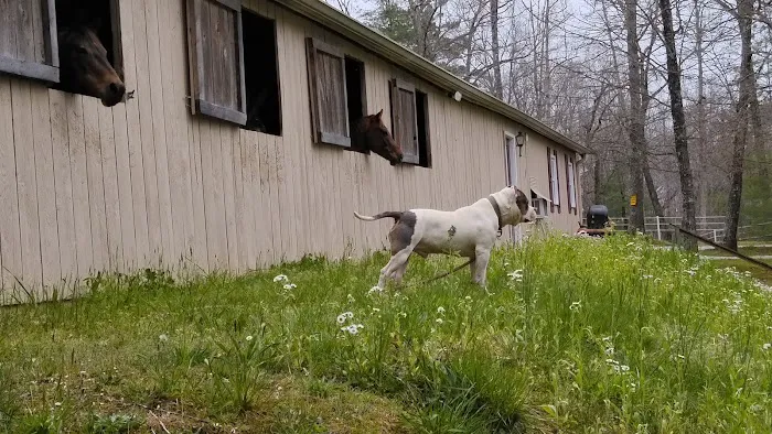 Spruce Creek Campground and Stables 5