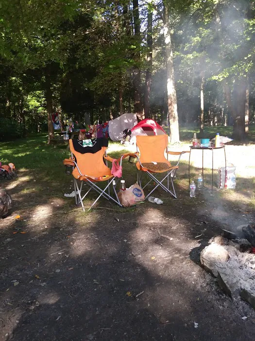 Pulaski County Park Campground & Boat Ramp 2