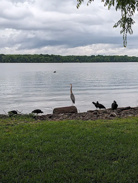 Cages Bend Campground 2