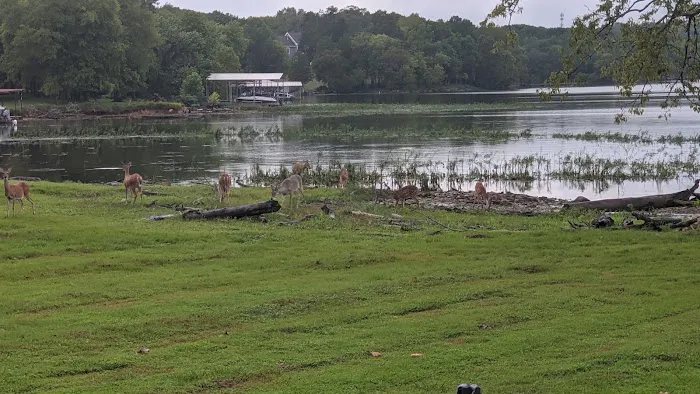 Cedar Creek Campground 2