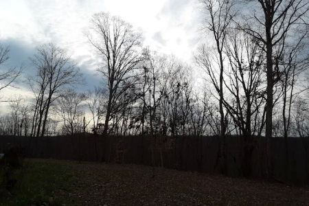 Kings Court Trailer Park
