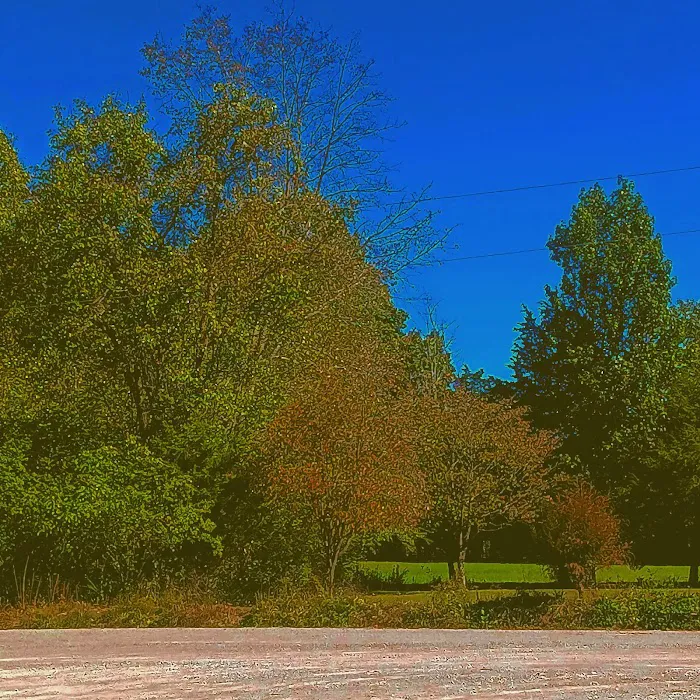 Stock RV Park 8