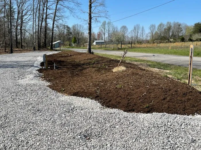 Camp Luna RV Park 8