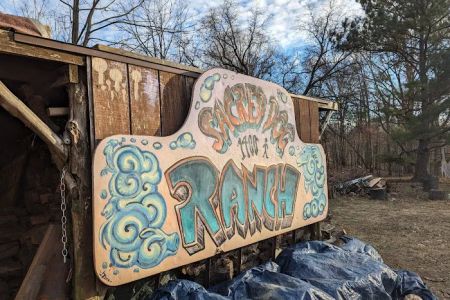 Sacred Dog Ranch Glamping