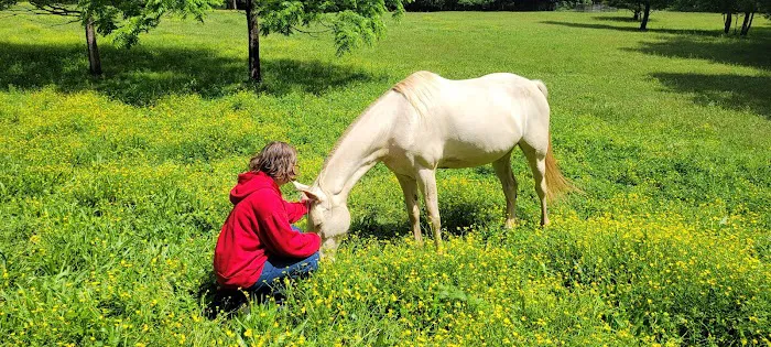 Sacred Dog Ranch Glamping 8