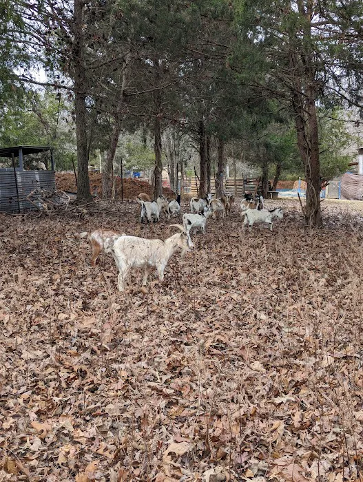 Sacred Dog Ranch Glamping 7