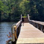 Natchez Trace State Park Campground 1