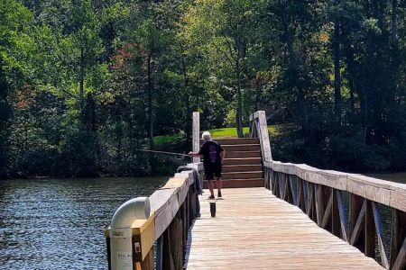 Natchez Trace State Park Campground 1