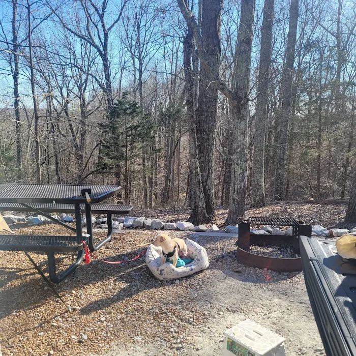 Mousetail Campground 2