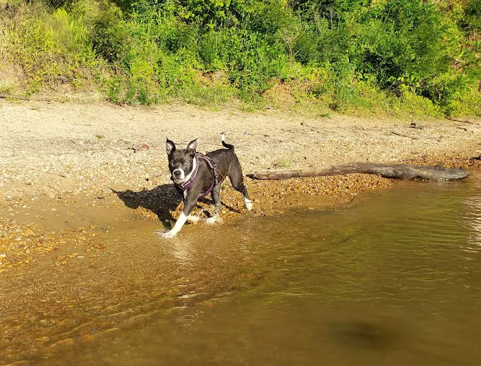 Spring Creek Campground 10