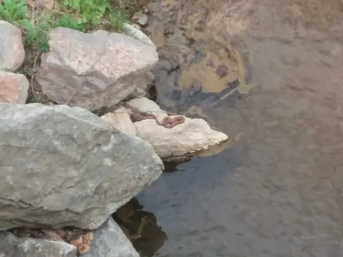 Pikes Peak Campground 3