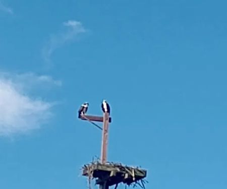 Perryville Campground