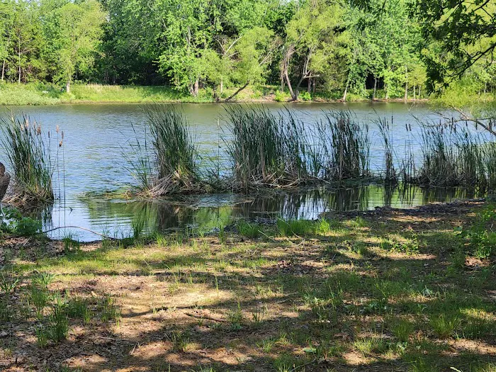 Rustic Trails RV Park 9