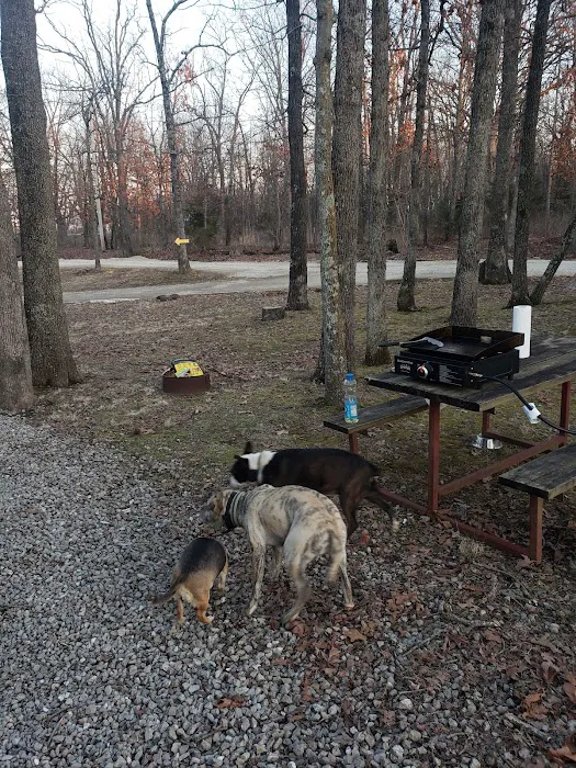 Rustic Trails RV Park 8