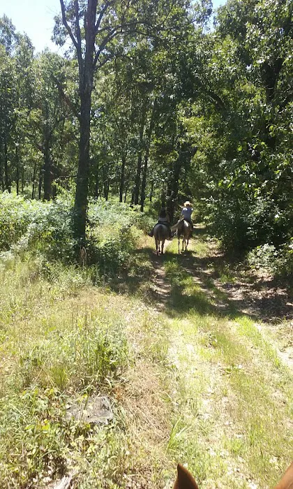 Lead Mine Conservation Area 1