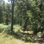 Lead Mine Conservation Area