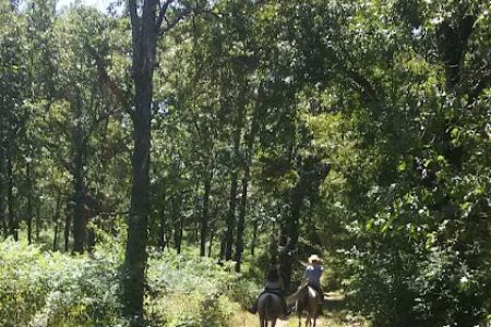 Lead Mine Conservation Area
