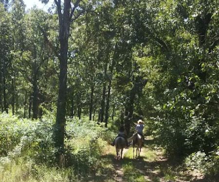Lead Mine Conservation Area