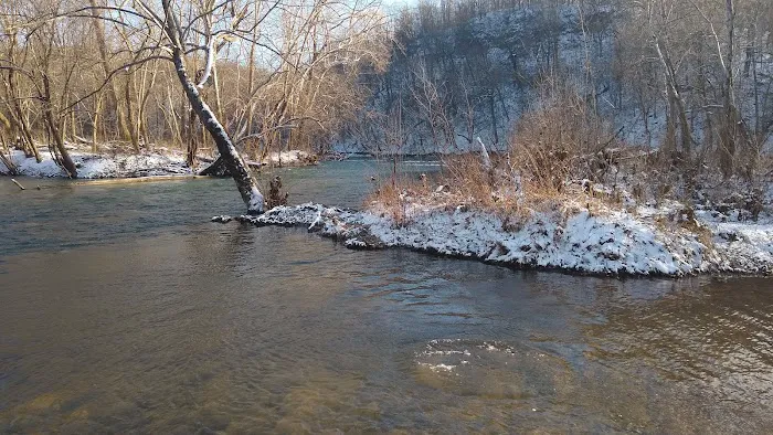 Lead Mine Conservation Area 6