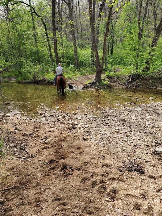 Lead Mine Conservation Area 9