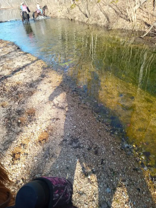 Lead Mine Conservation Area 10