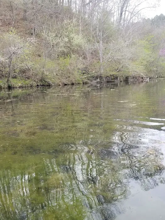 Noblett Lake Campground 10
