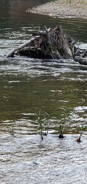 MO State Campground 8