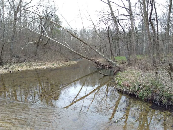 Buffalo Creek Campground 8